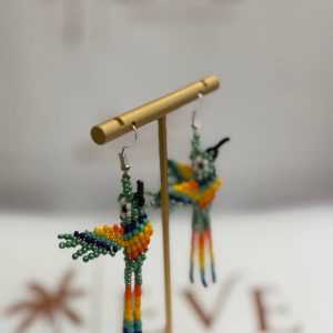 Inicio Pendiente Colibrí