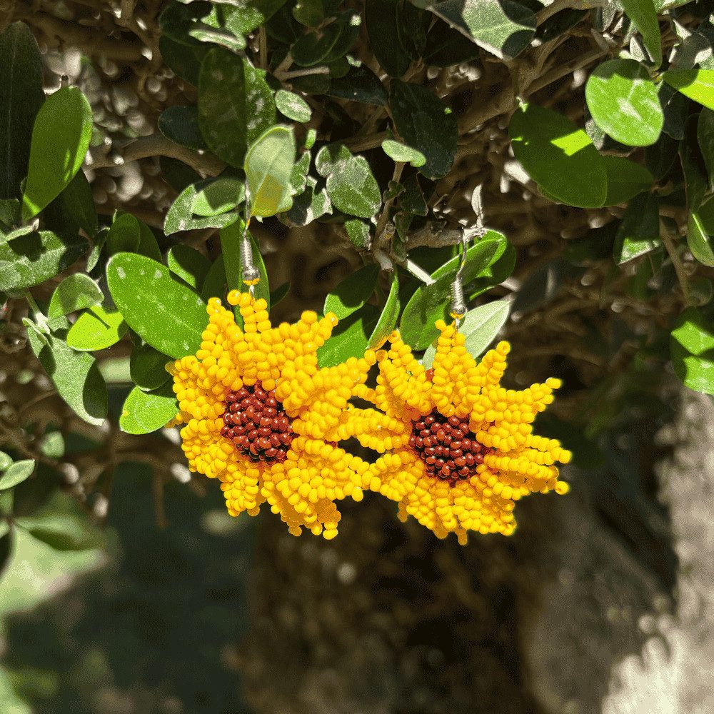 Inicio coleccion solea