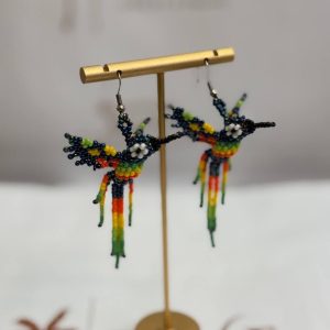 Inicio pendiente de colibri